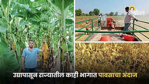 Indian Agriculture