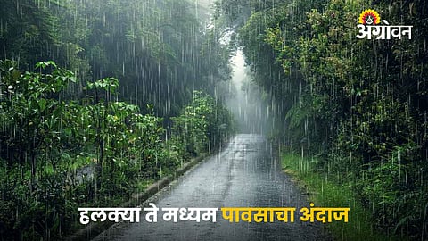 Rain