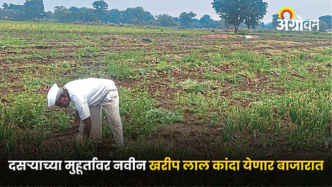 Agriculture
