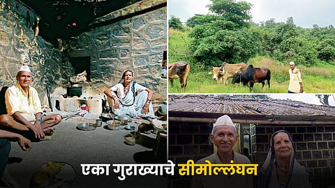 Agriculture Story