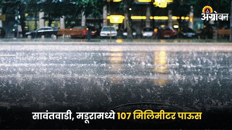 Rain