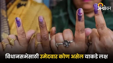 Maharashtra Assembly Election