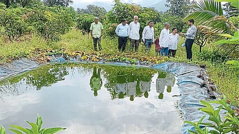 Horticulture