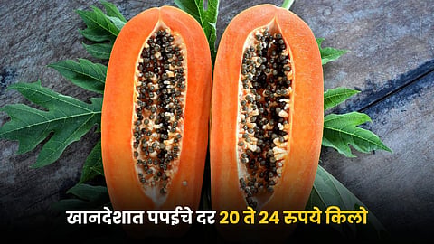 Papaya