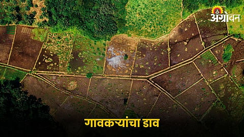 Agriculture Land