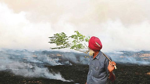 Crop Residue Burning