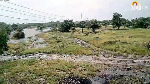 Rain News