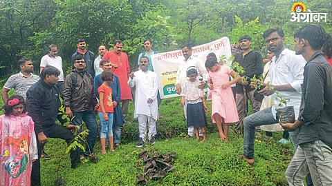 Watershed Management