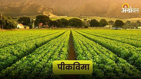 Crop Insurance
