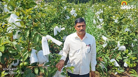 Agriculture Success Story