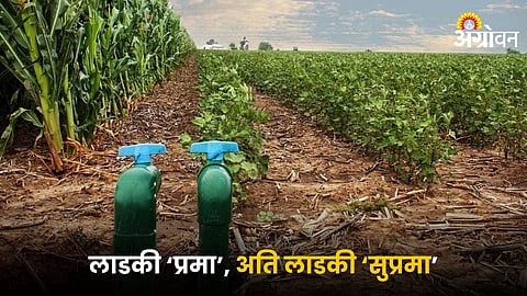 Agriculture Development