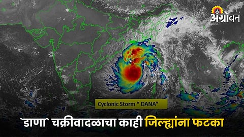 Dana Cyclone