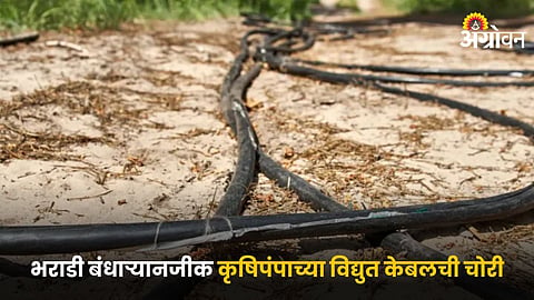 Agriculture Pump Cable