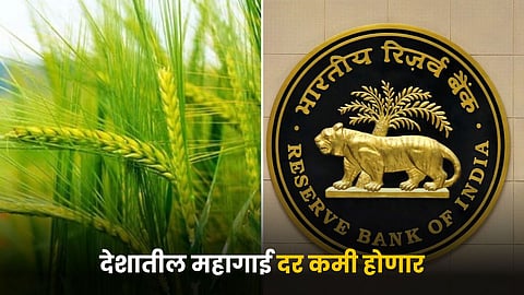 RBI Report