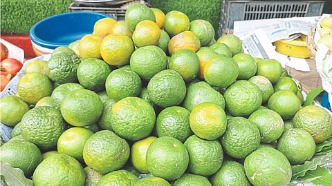 Kolhapur Market