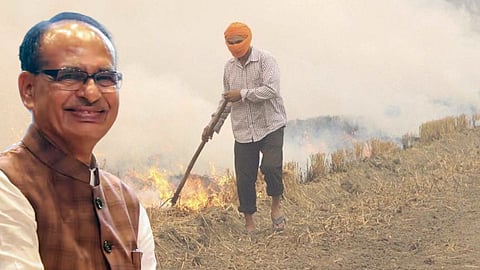 Shivraj Singh Chauhan On Crop Residue Burning in Haryana