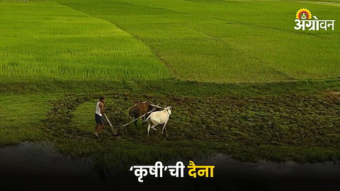 Indian Agriculture