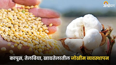 Soybean Cotton Market