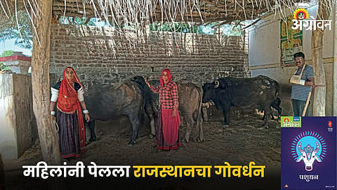 Milk Production