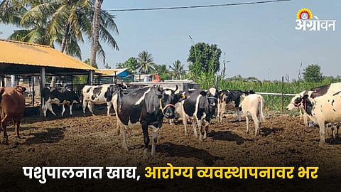 Animal Husbandry