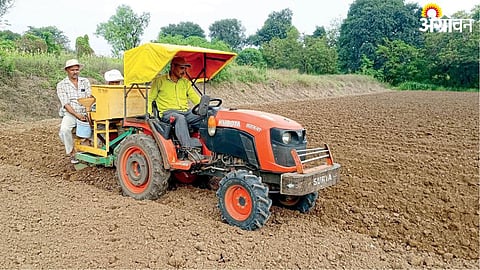 Potato Cultivation
