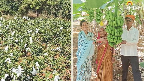 Agriculture Story