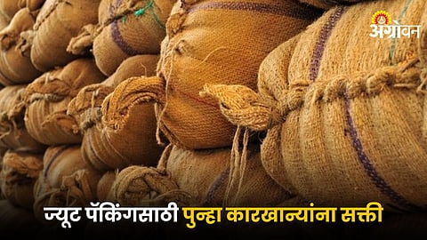 Jute Packaging