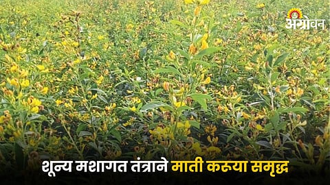 Agriculture