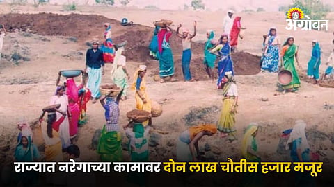 NREGA Labor