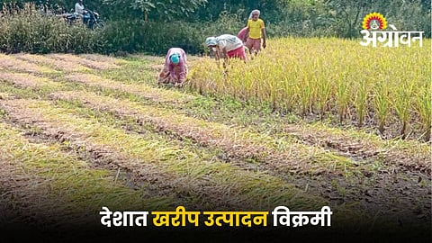 Kharif Crops