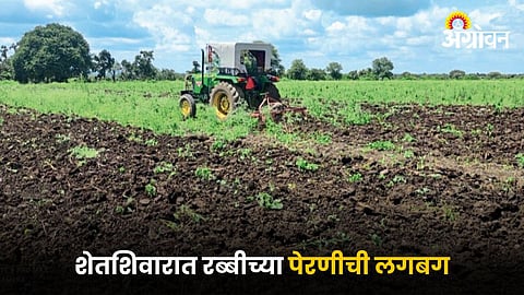 Rabi Season