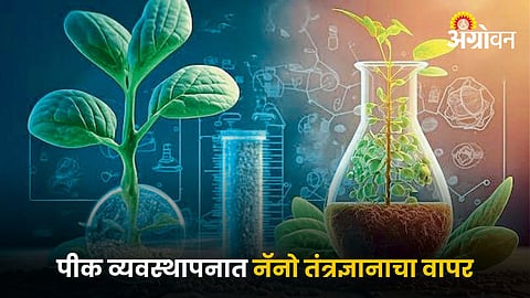 Nano Technology