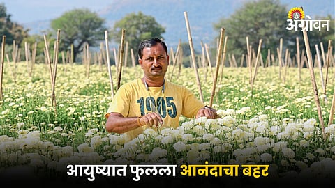 Flower Farming