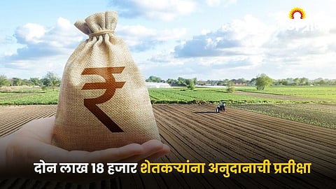 Agriculture Subsidy