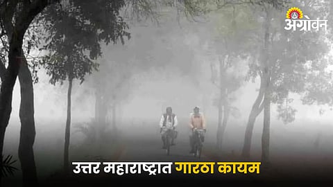 Maharashtra Weather