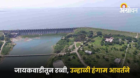 Jayakwadi Dam