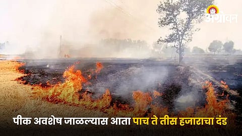 Burning Crop