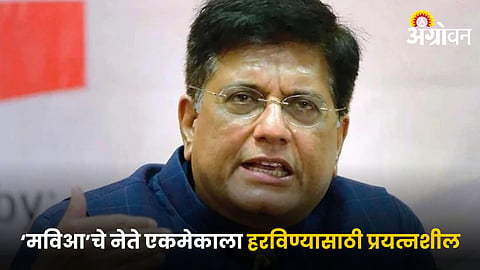 Maharashtra Politics
