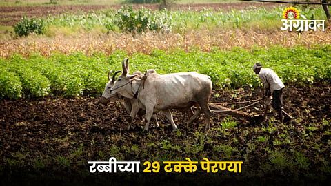 Rabi Sowing