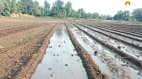 Rabi Sowing