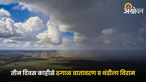 Weather