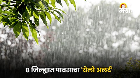 Rain