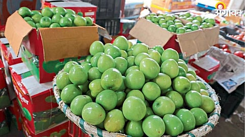 Apple Ber