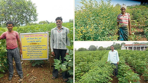 Organic Farming