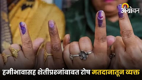 Vidhansabha Election 2024
