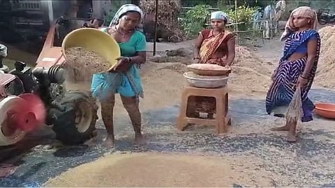 Paddy Threshing