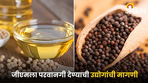 Soybean and Mustard