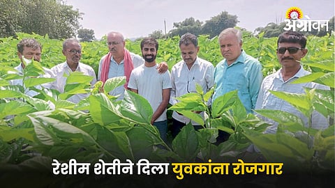 Sericulture Farming