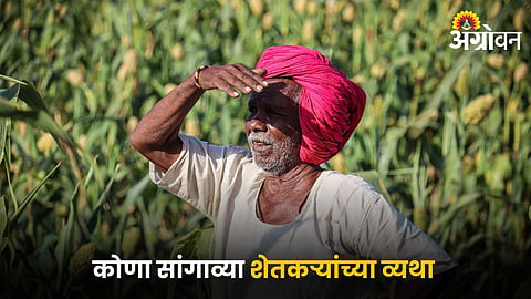 Indian Farmer