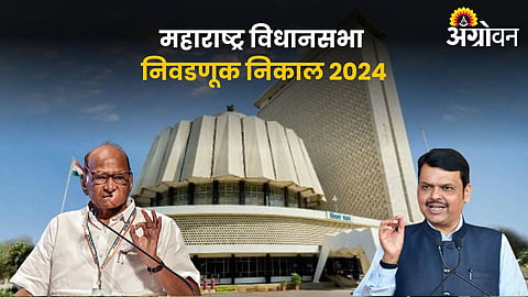 Maharashtra Vidhansabha Election Result